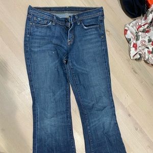 Citizens of Humanity 29